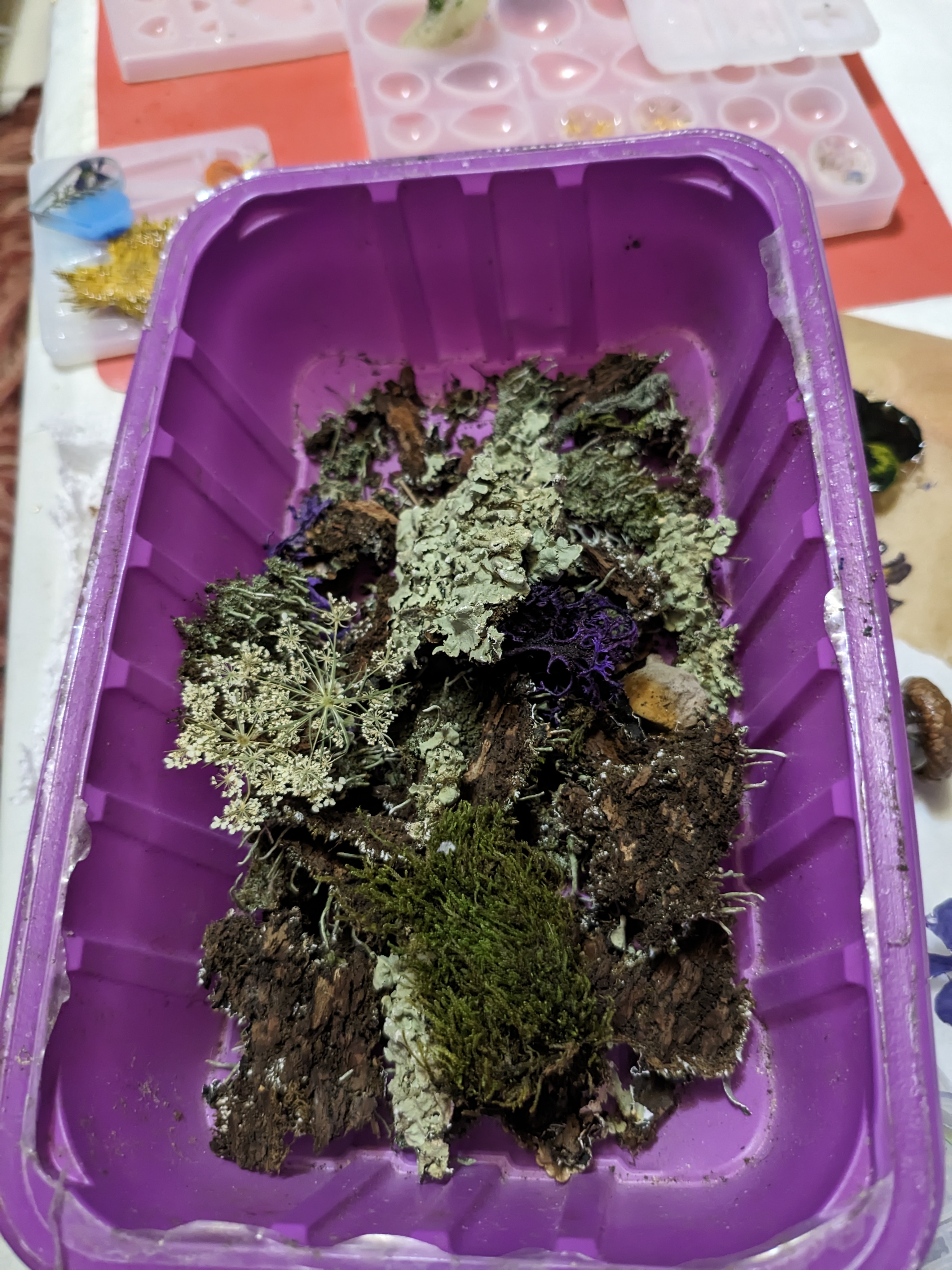 A descriptive alt text for the image